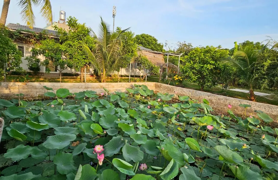 Homestay Sen&Zen Villa Vũng Tàu-1