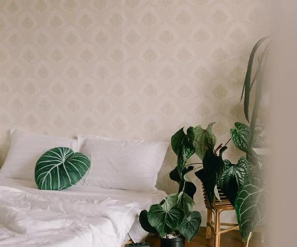 Lavuta Home