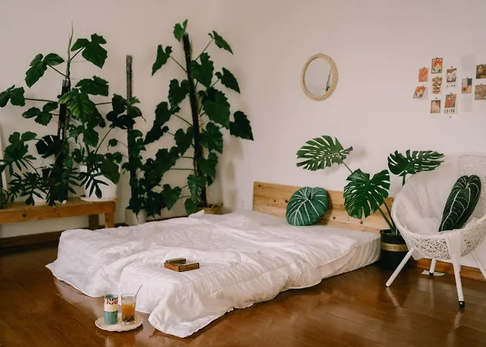 Lavuta Home