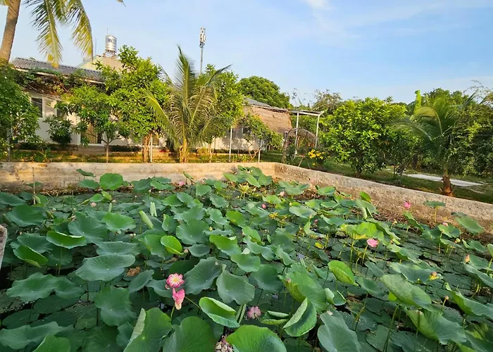 Homestay Sen&Zen Villa Vũng Tàu, Việt Nam